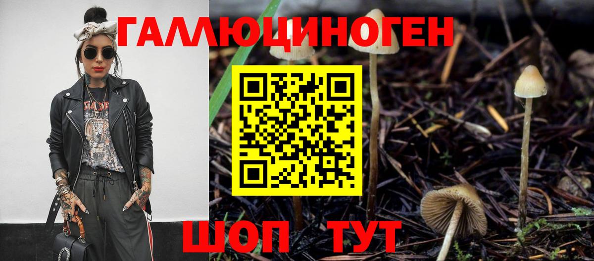 сколько стоит  Галлюциногенные грибы Psilocybine cubensis  Вход с VPN  Пушкино 